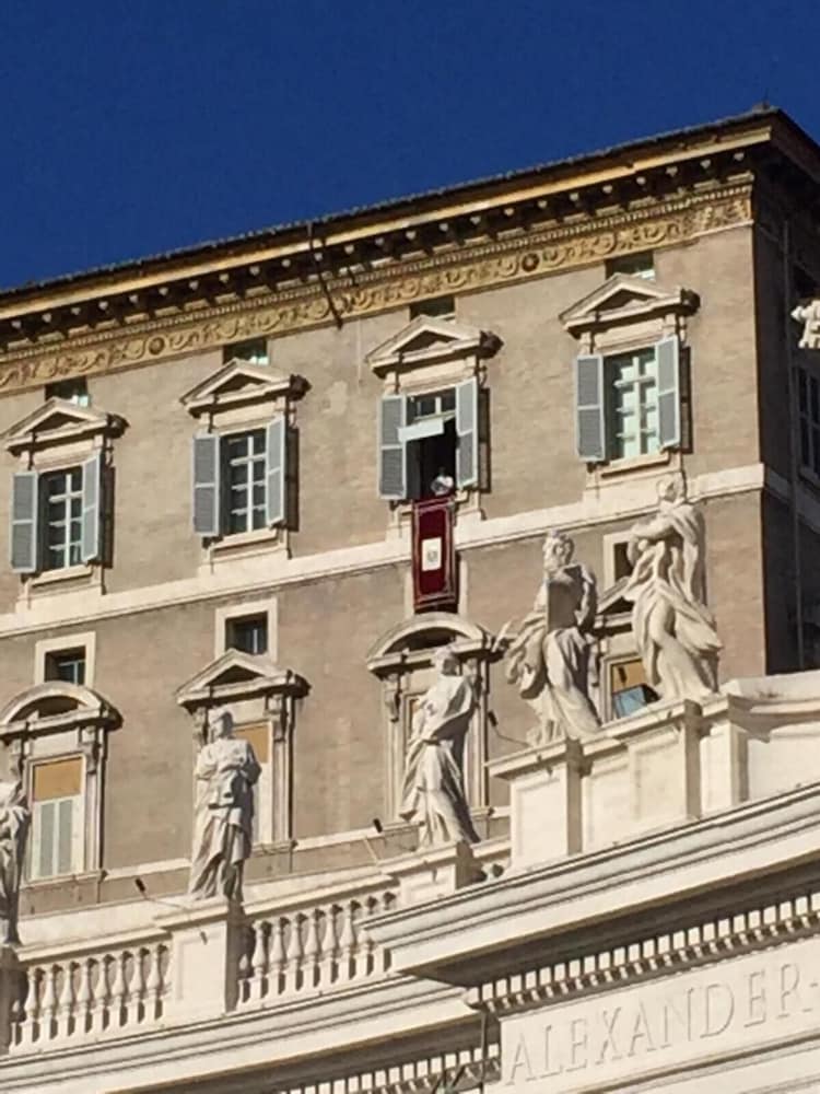 La Cupola Del Vaticano 1/47