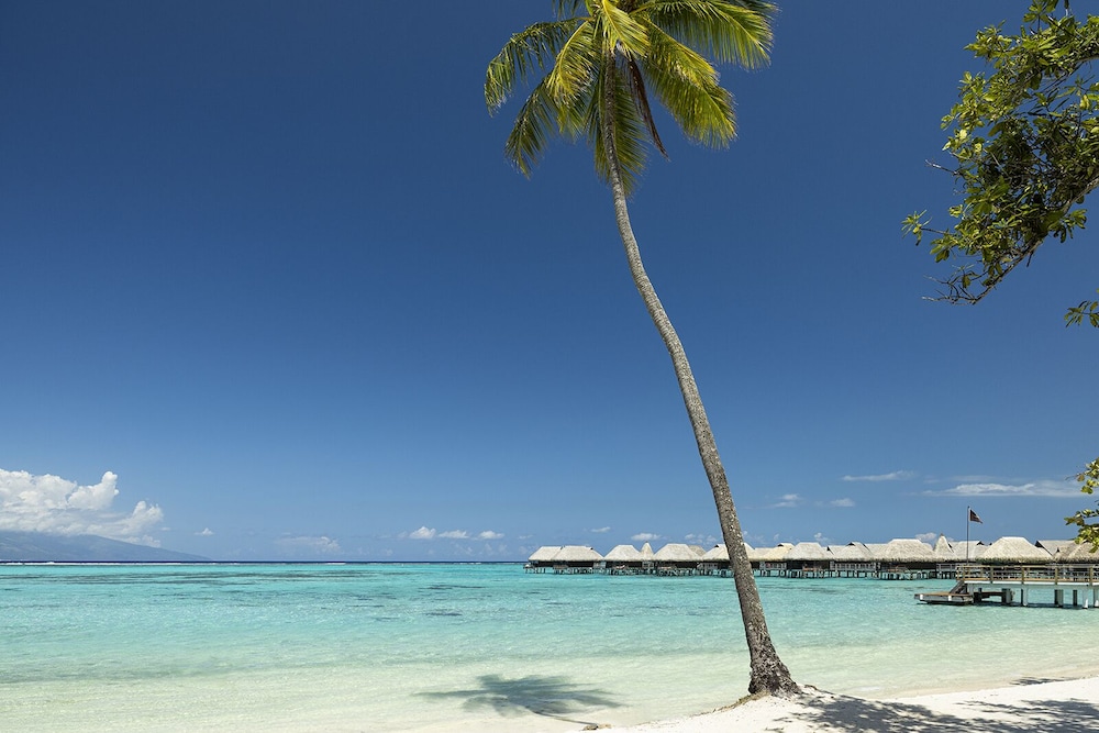 Sofitel Kia Ora Moorea Beach Resort 46/50
