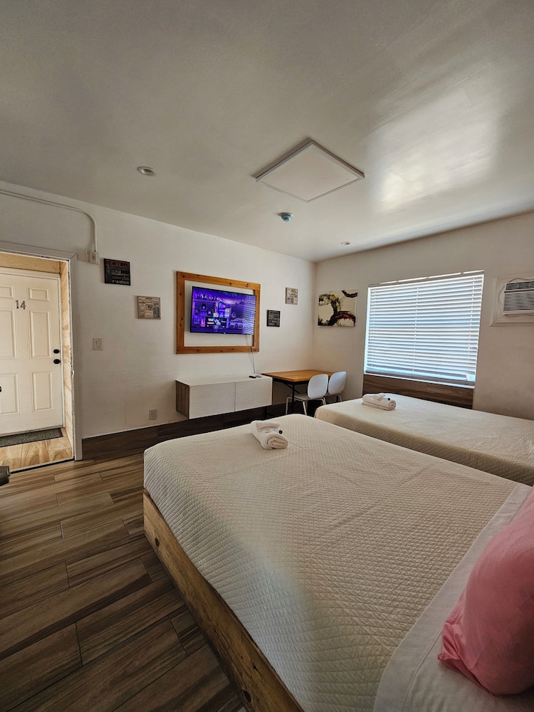 Stay Inn 20/50
