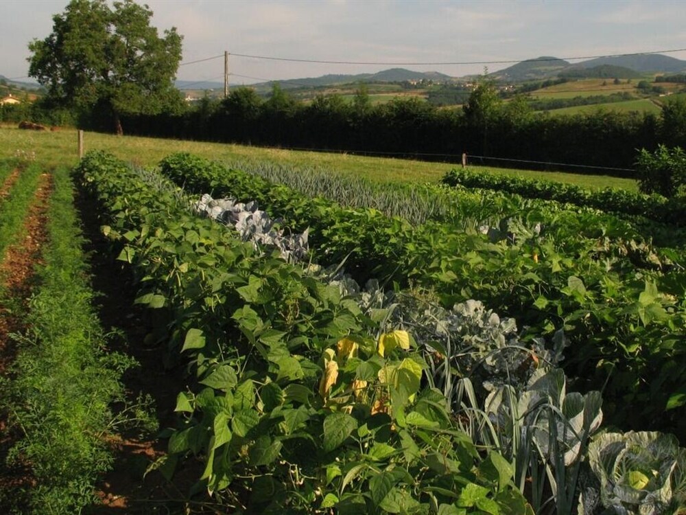 La Ferme Du Chapi 15/18