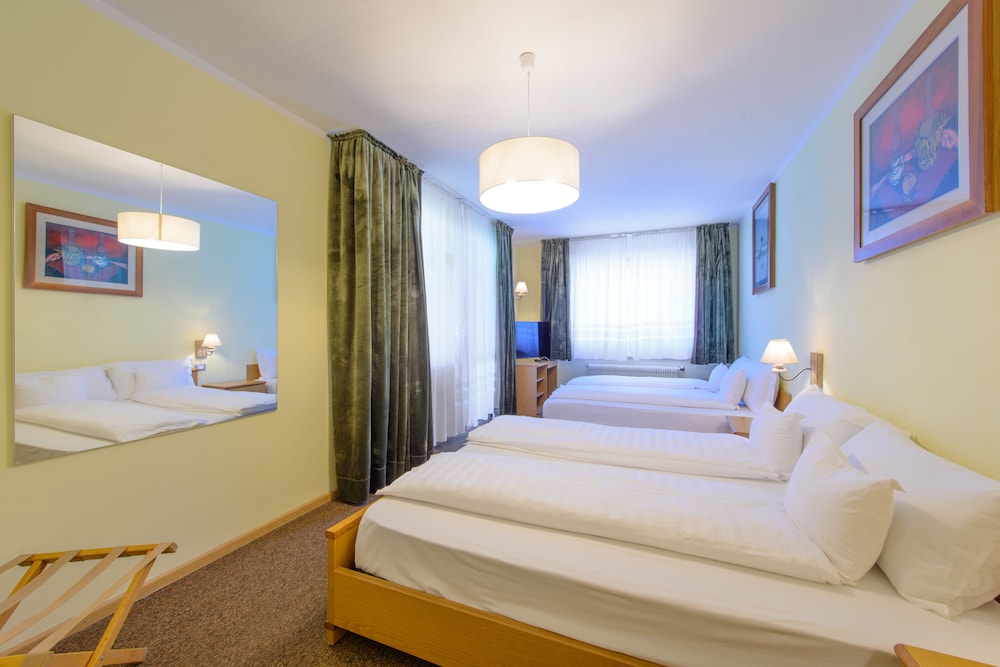 Park Hotel Faloria 4/36