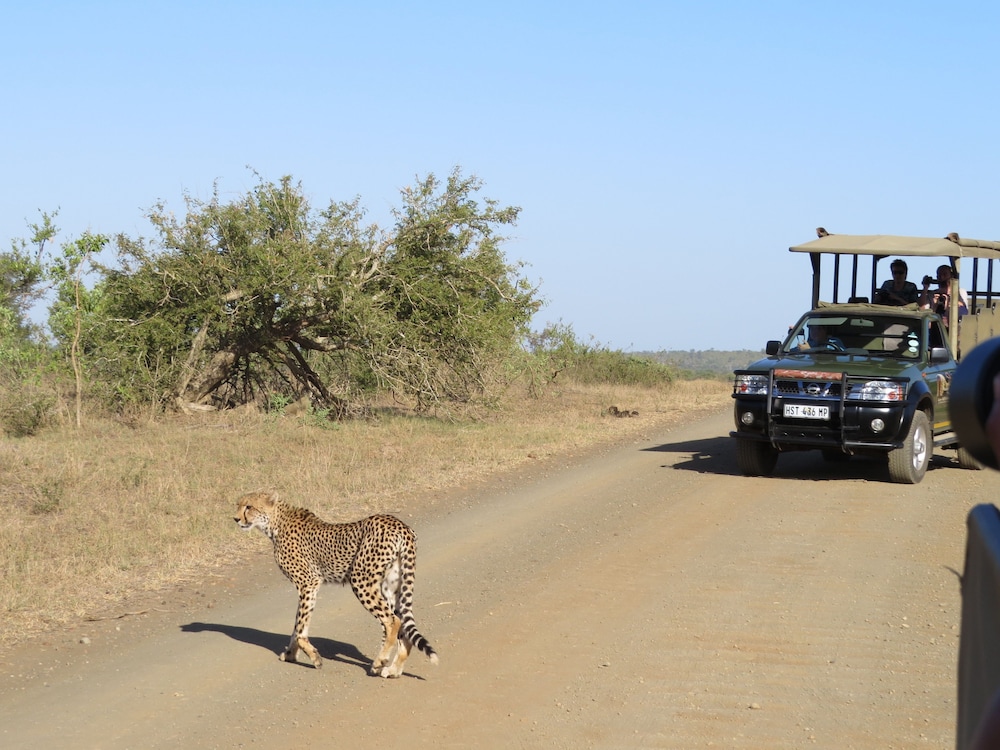 Phumula Kruger Lodge 45/66