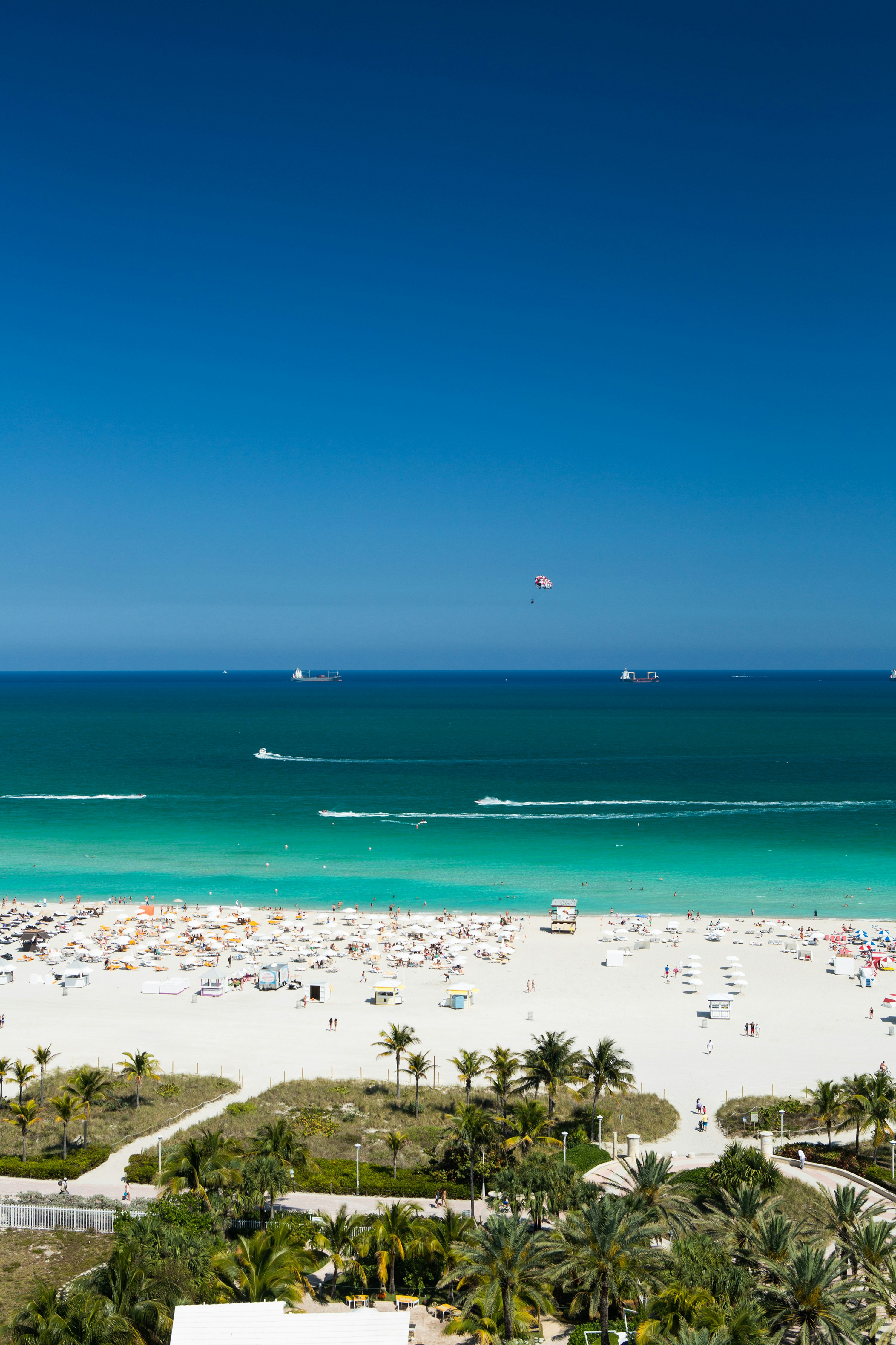 Gale South Beach Curio Collection By Hilton 47/49