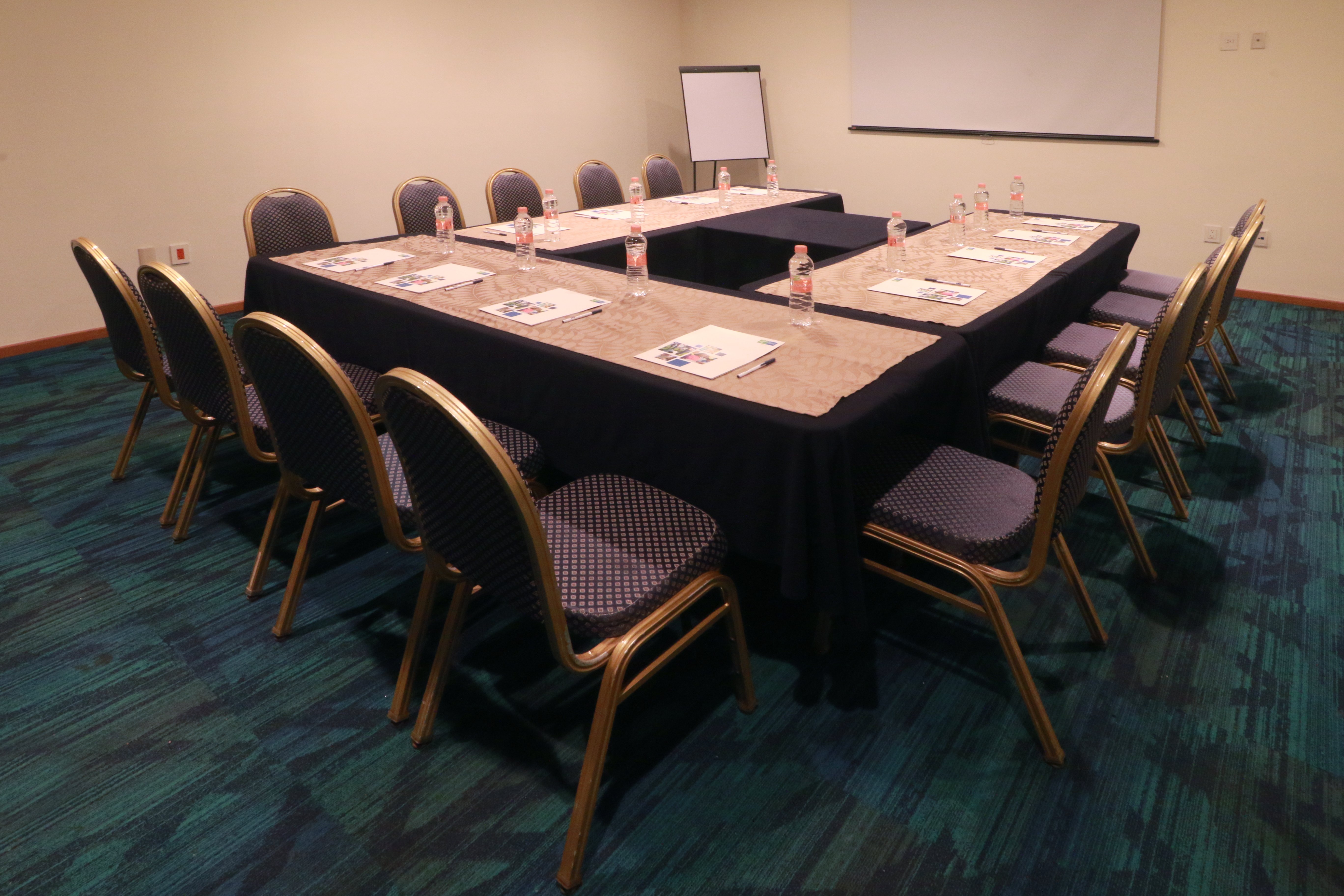 Holiday Inn Express Tuxpan 68/78