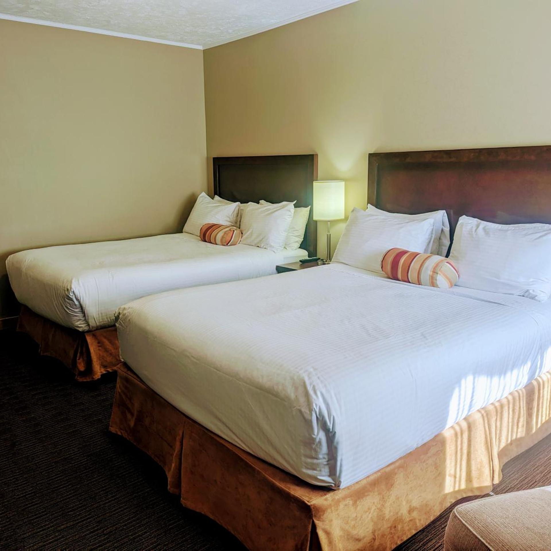 Alpine Inn & Suites 11/50
