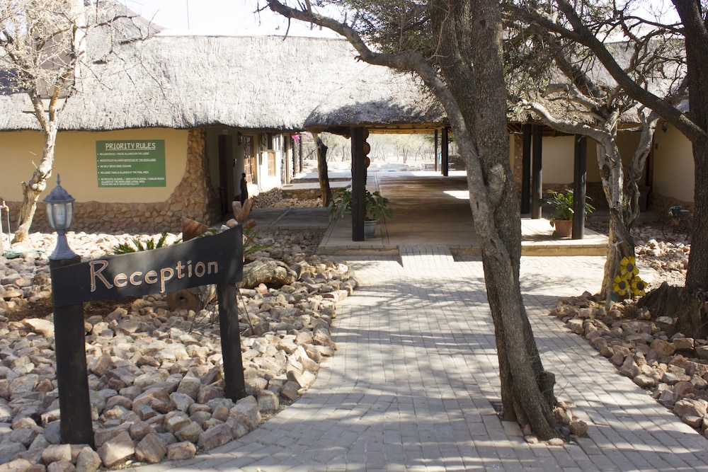 Thabaledi Game Lodge 34/50