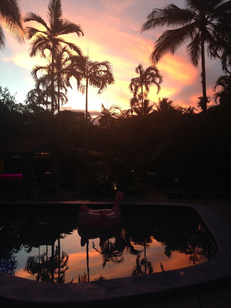 PINK FLAMINGO 22/28
