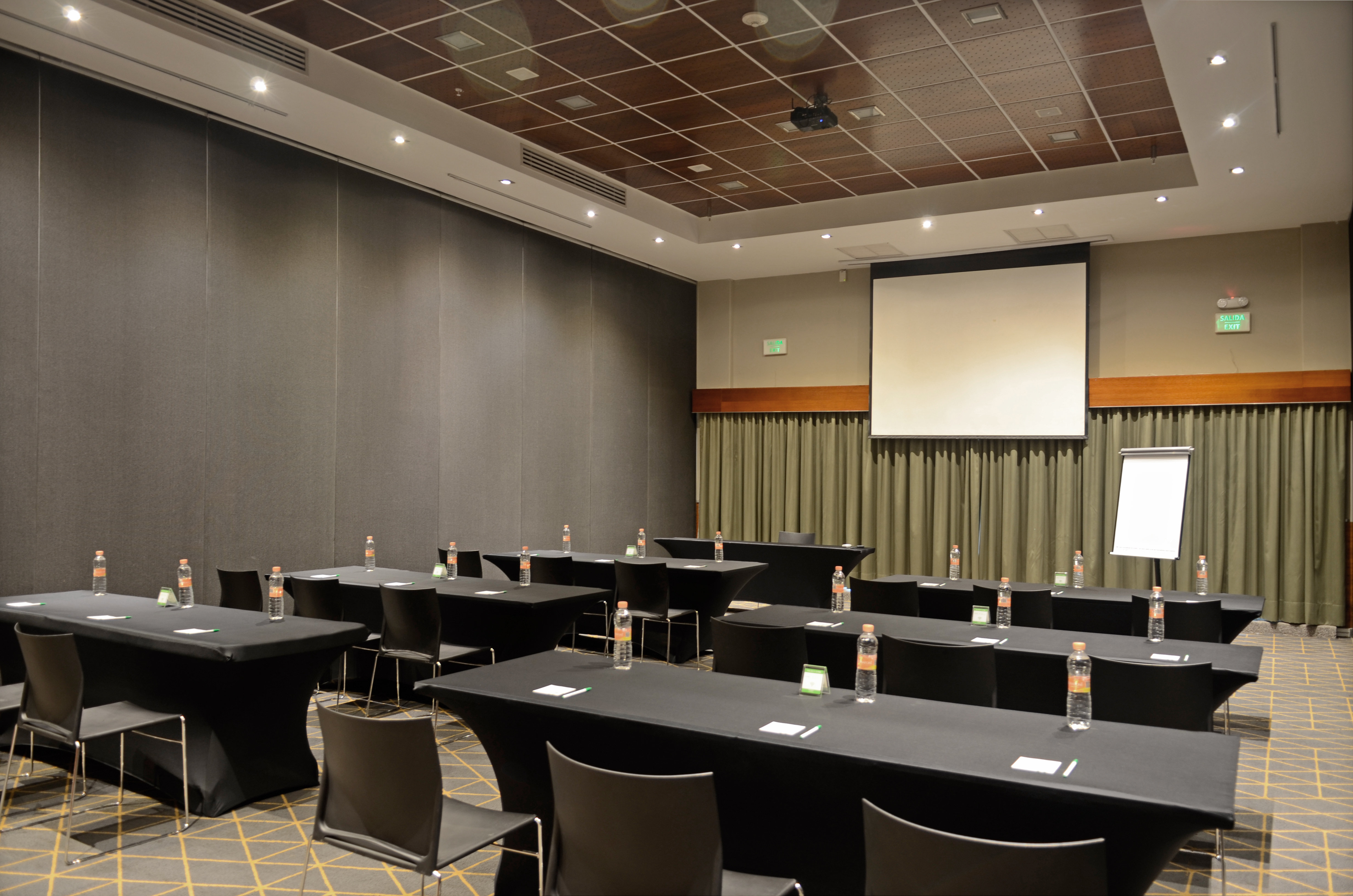 Holiday Inn San Luis Potosi-Quijote 34/50