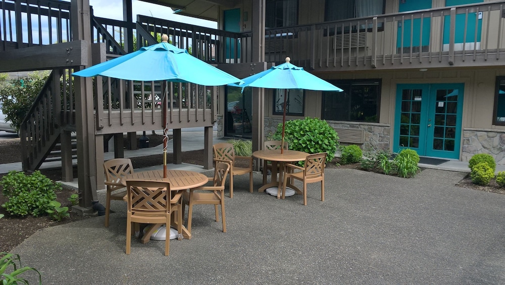 PepperTree Inn 48/67