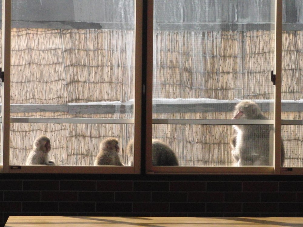 Shiganoyu Hotel 22/48