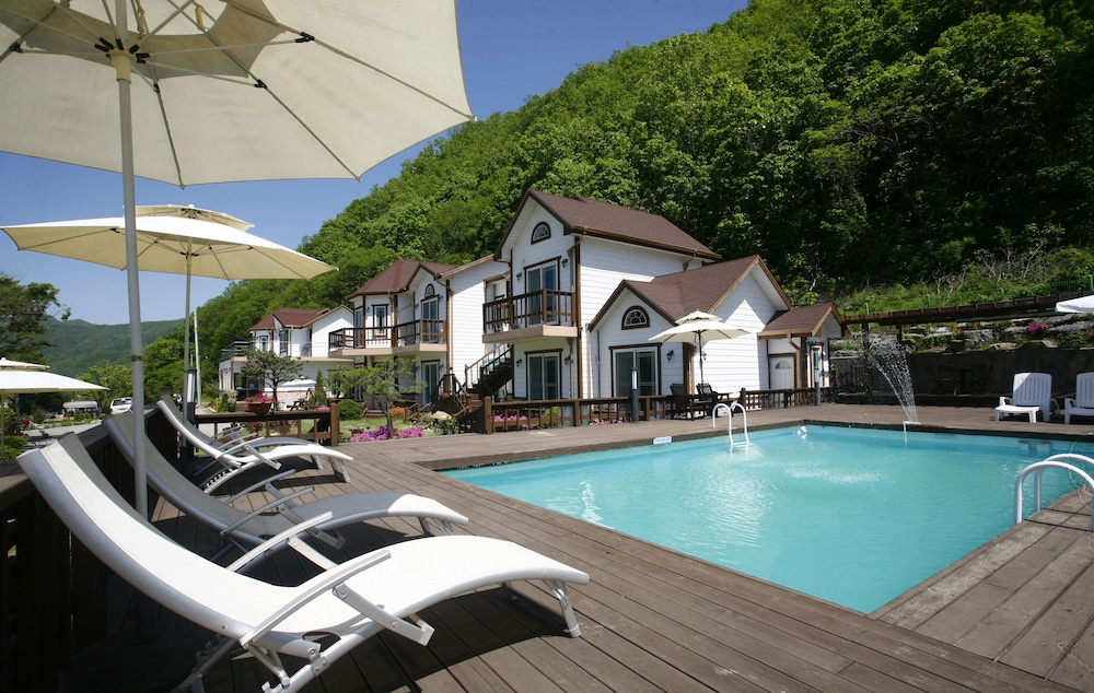 Forest Of Color Pension 47/50