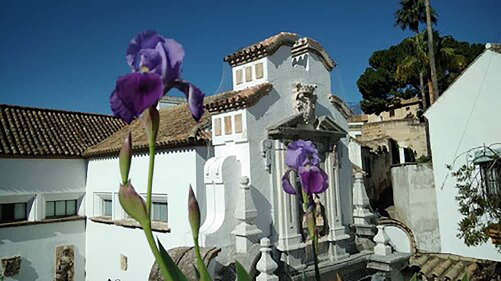 Plateros Hotel 7/50