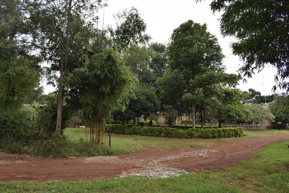 Our Native Village. 56/68
