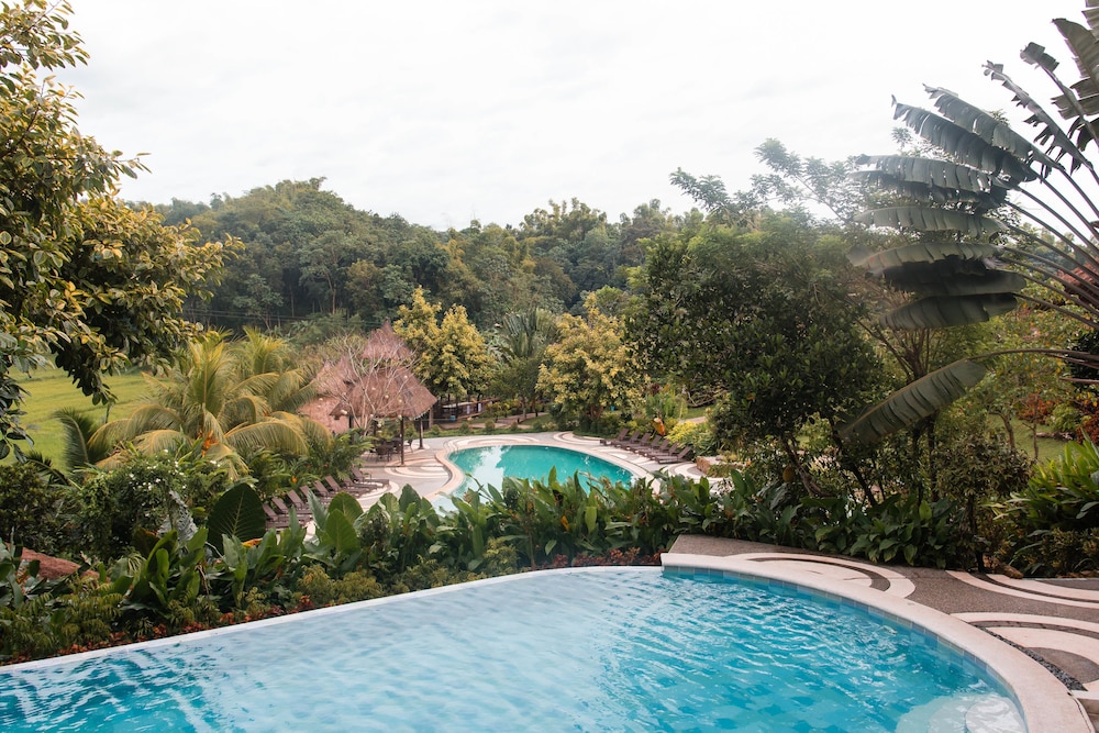 Damires Hills Tierra Verde 45/50