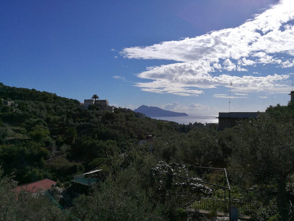 Agriturismo Oleum 31/44