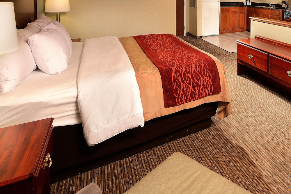 Comfort Inn Schereville, IN 17/42