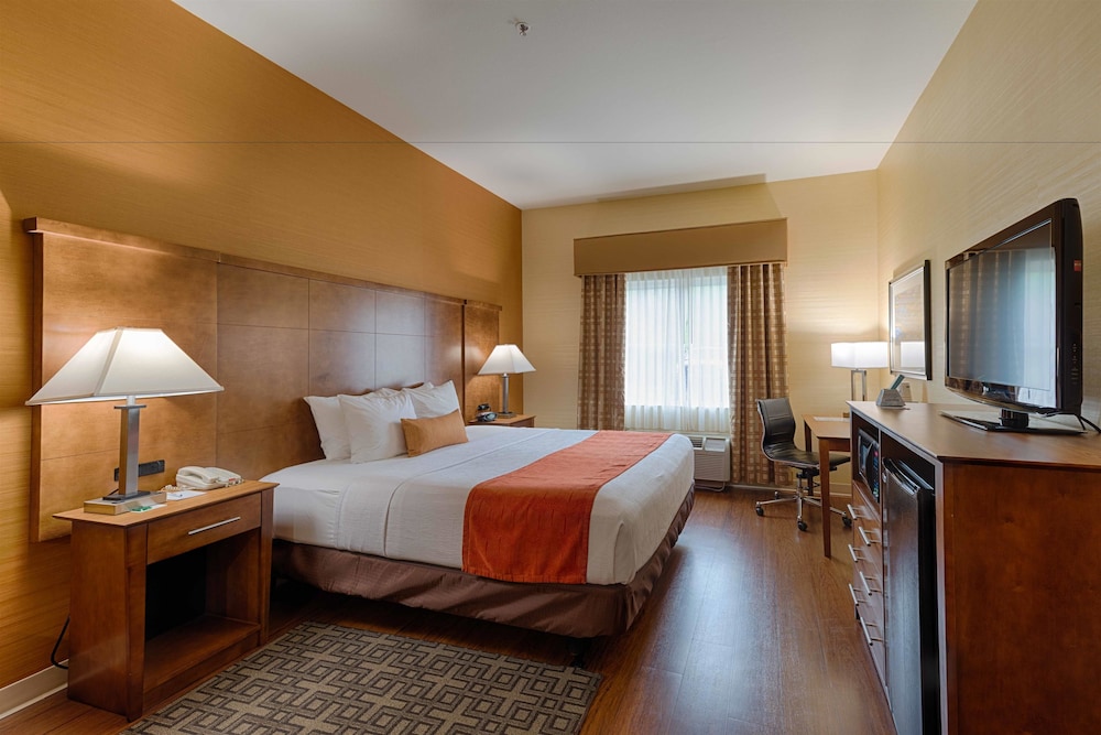 Best Western Plus Delta Inn & Suites 13/36
