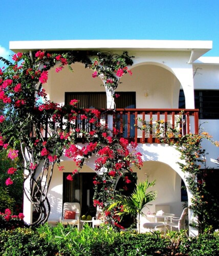 Carimar Beach Club 2/34