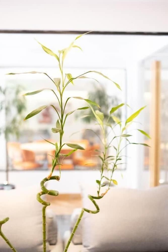 City Loft Boutique Hotel 41/50