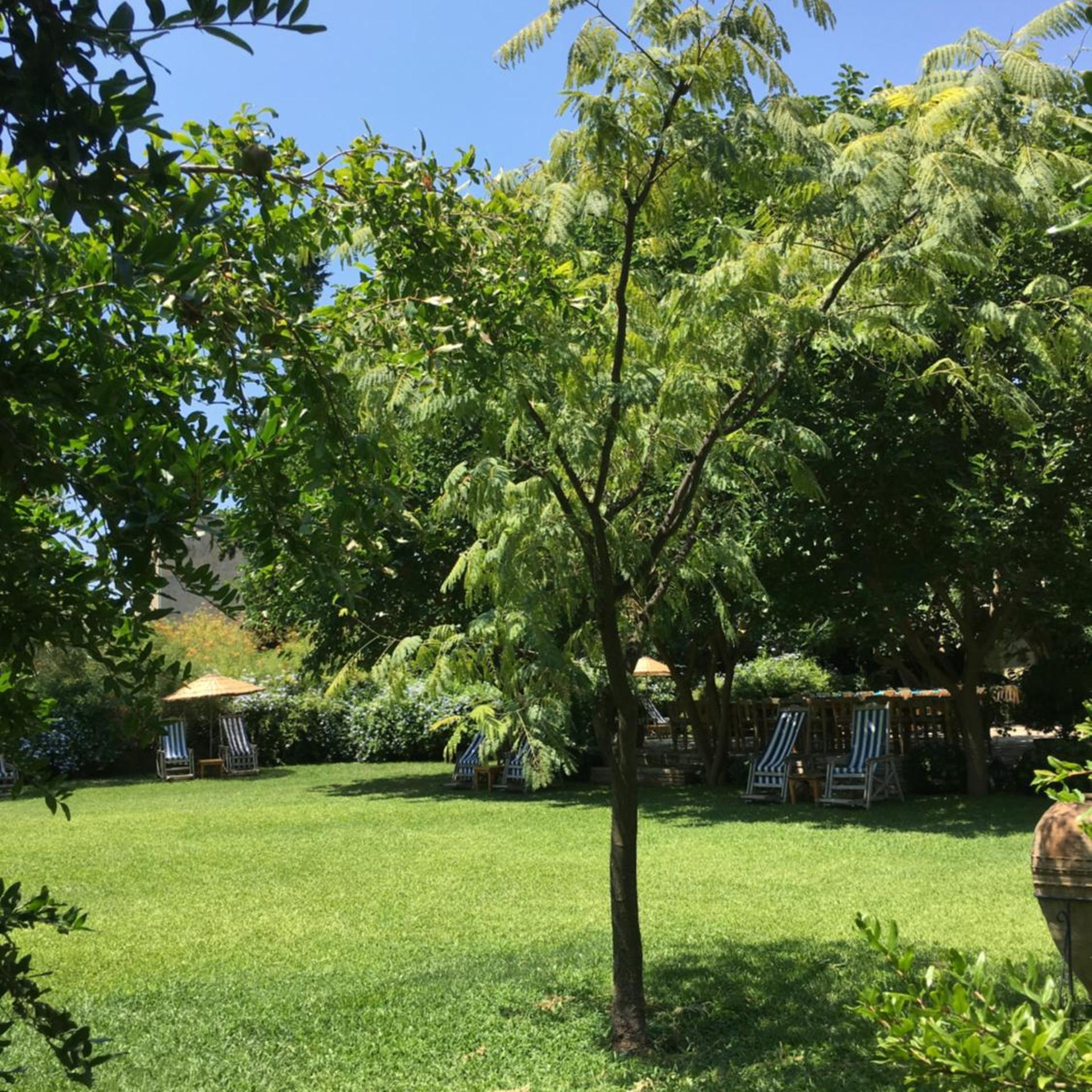 Emel Pension 47/50