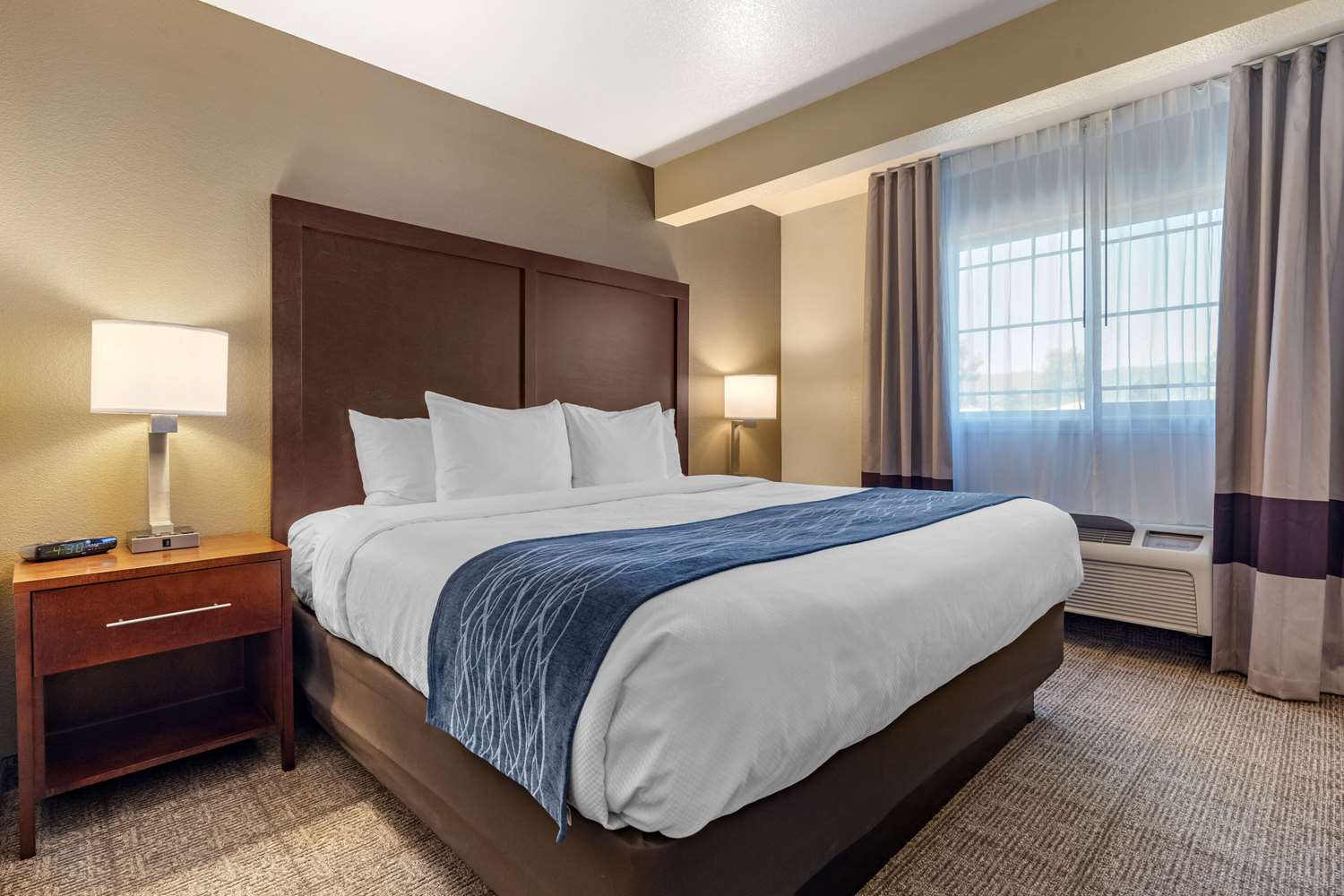 Suite, King Bed
