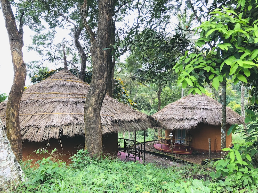 PUNARJANI AYURVEDIC RESORTS 52/64