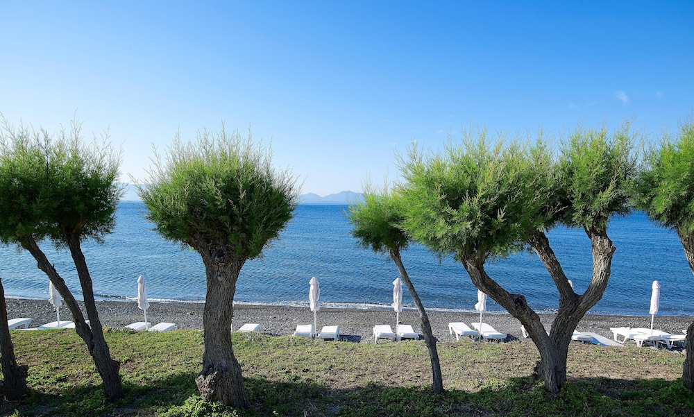 Dimitra Beach Hotel and Suites 71/76