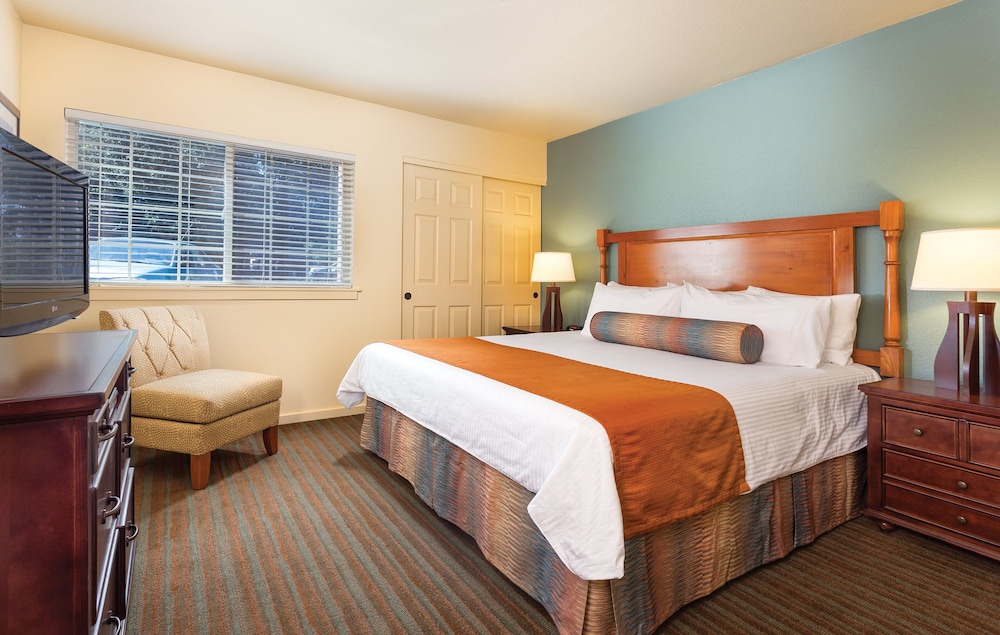1 Bedroom, Condo, Standard, King Bed, Queen Murphy Bed, Kitchen