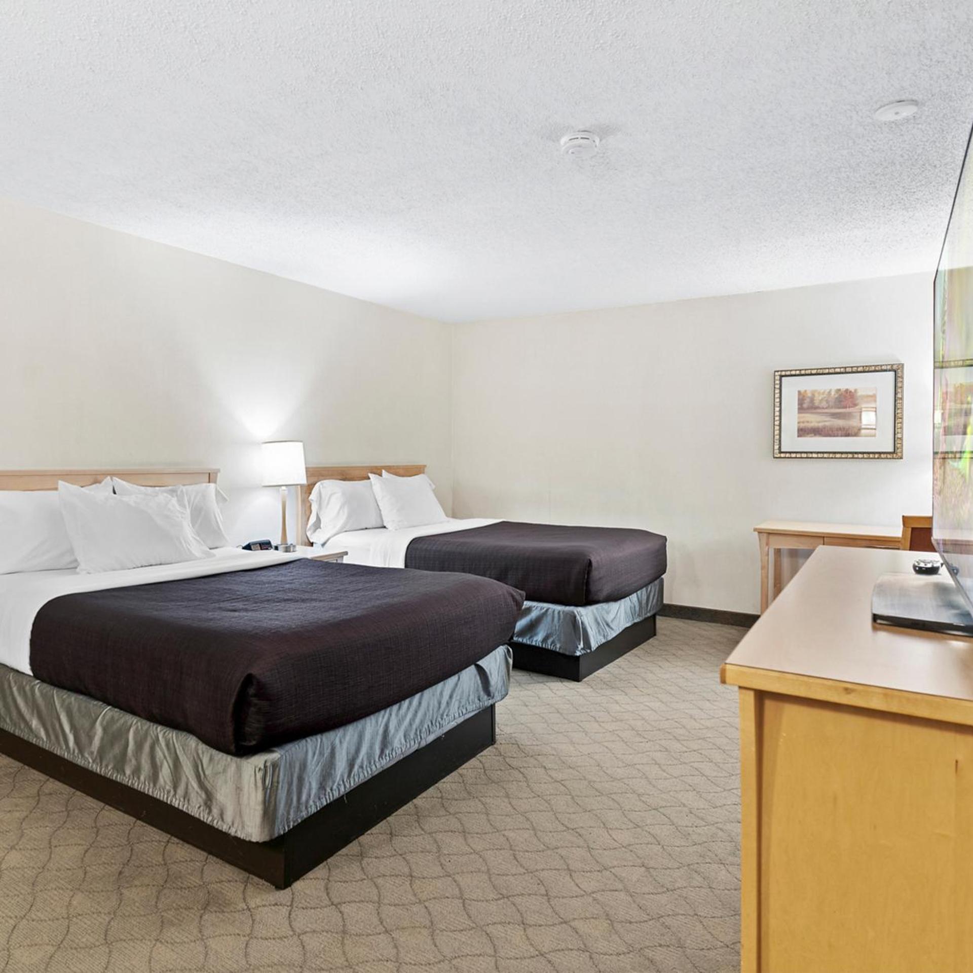 1 Bedroom, Theme, Suite