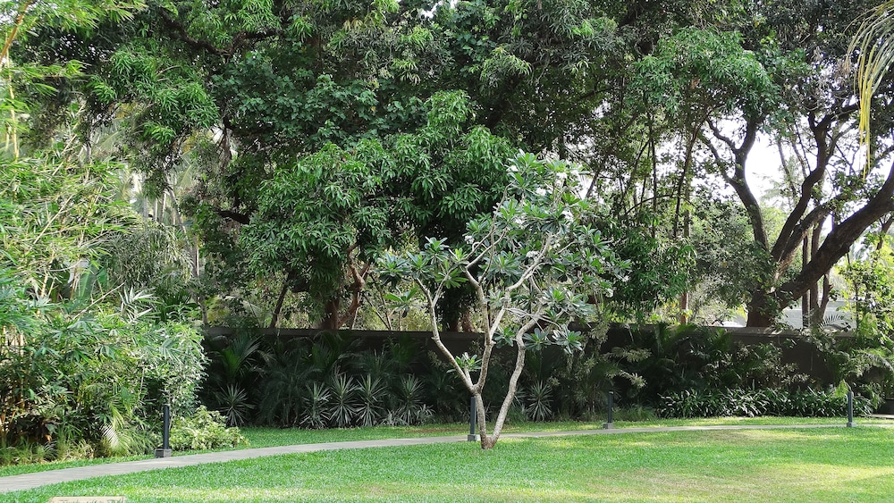 Andores Resort And Spa 31/36