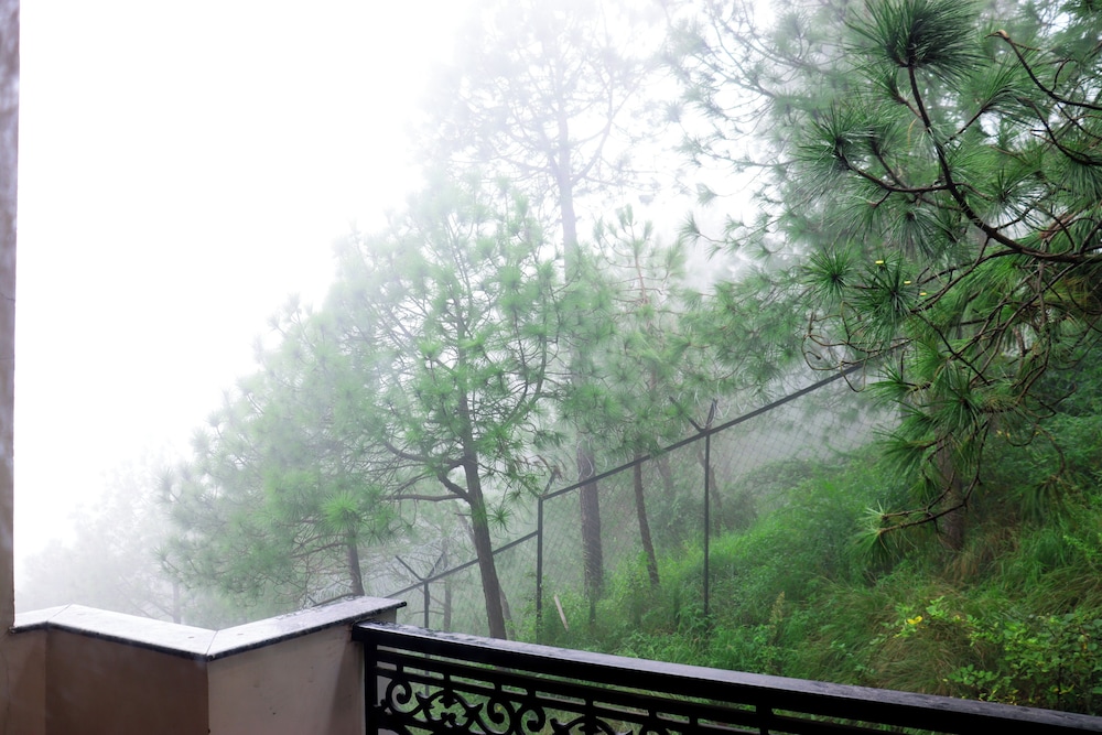 Rosetum Kasauli 38/44