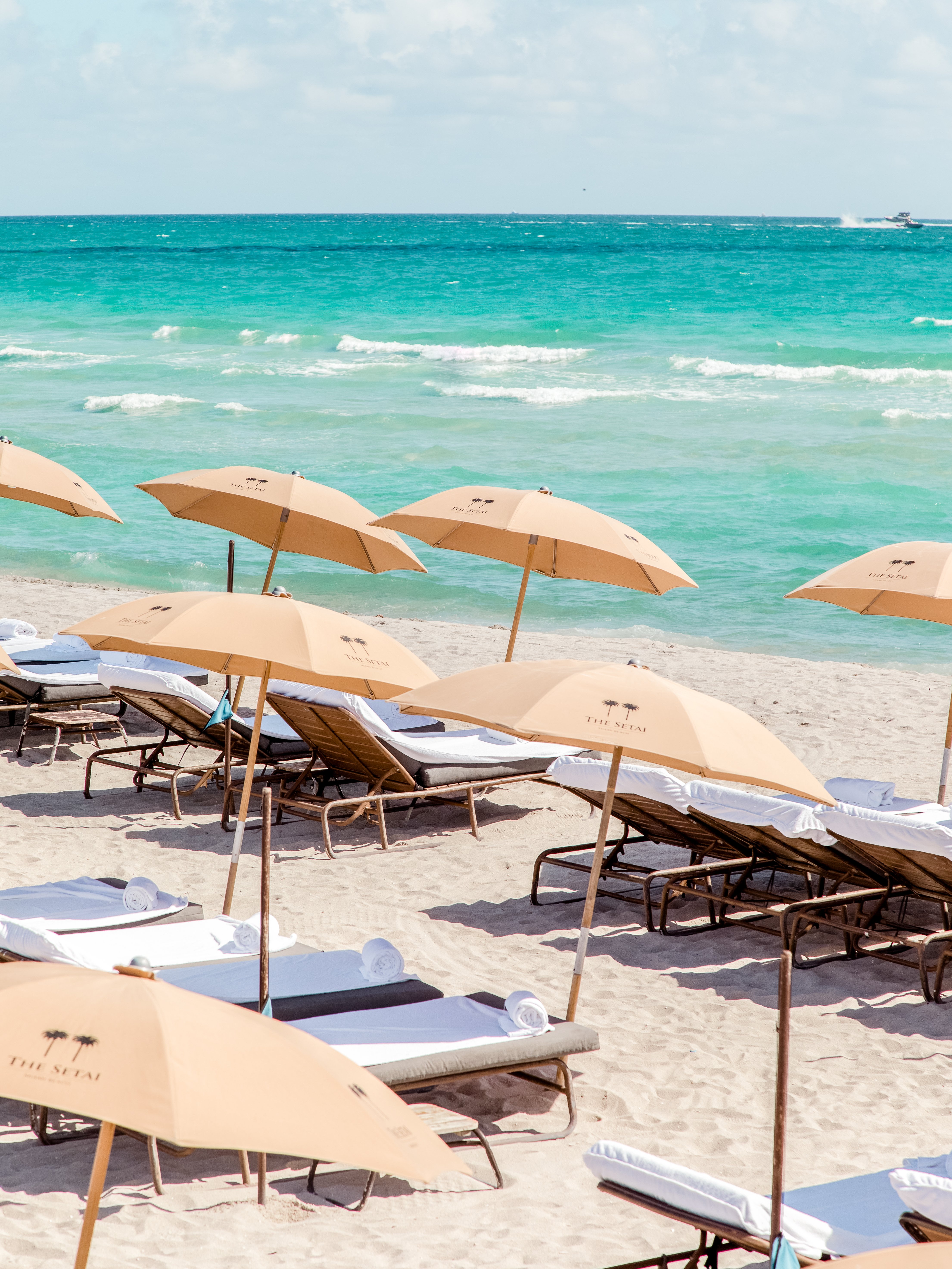 The Setai Miami Beach 67/78
