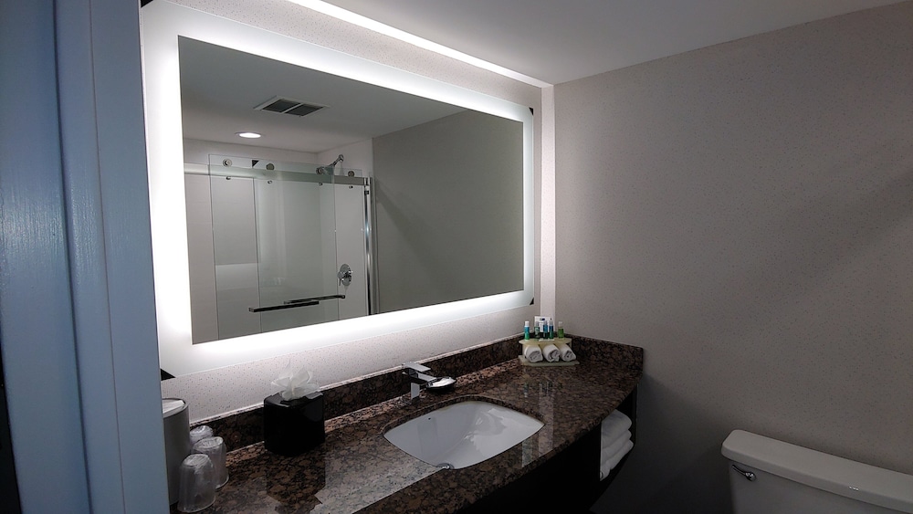 Holiday Inn Express Rolling Mdws Schaumburg Area 30/33