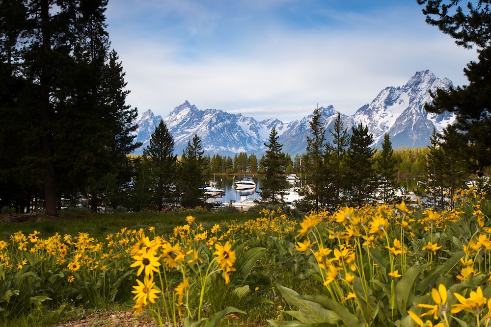 Colter Bay Village 35/47