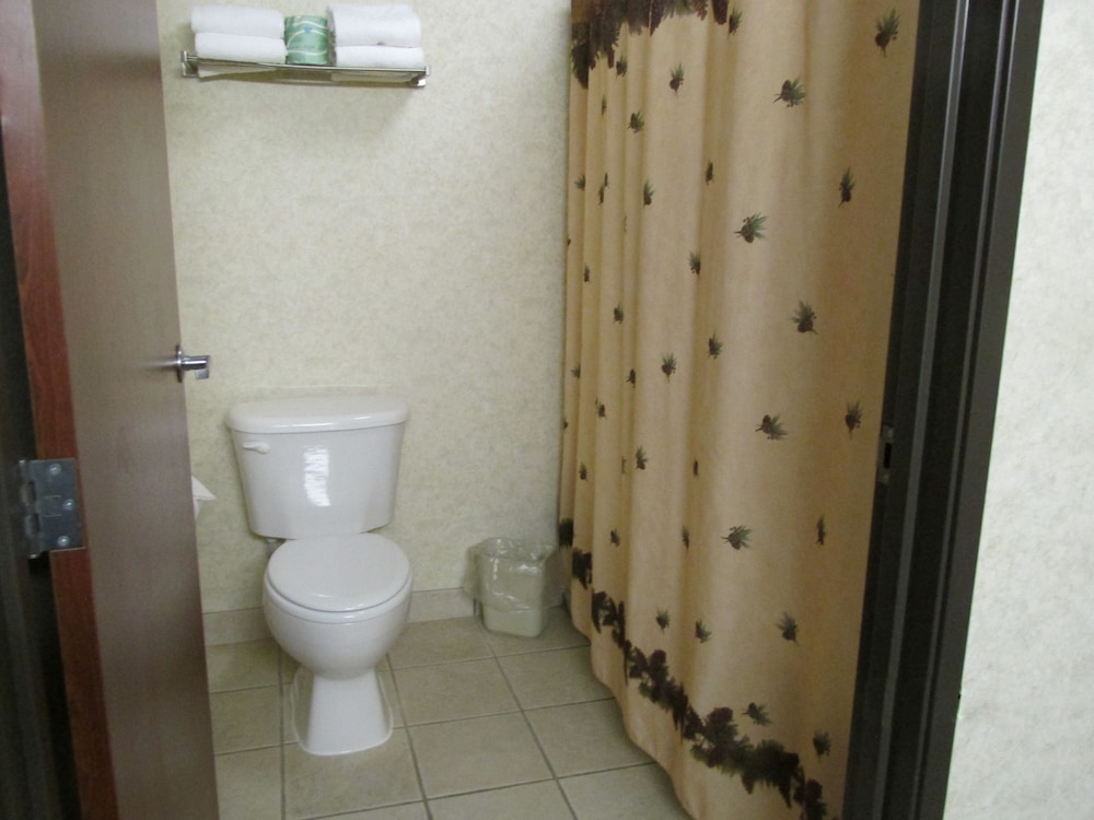 Kelly Inn & Suites Mitchell South Dakota 9/39