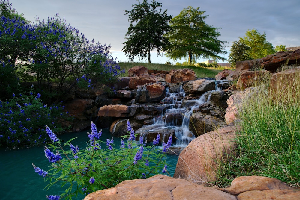 Holiday Inn Express Frisco Legacy Park Area 50/52