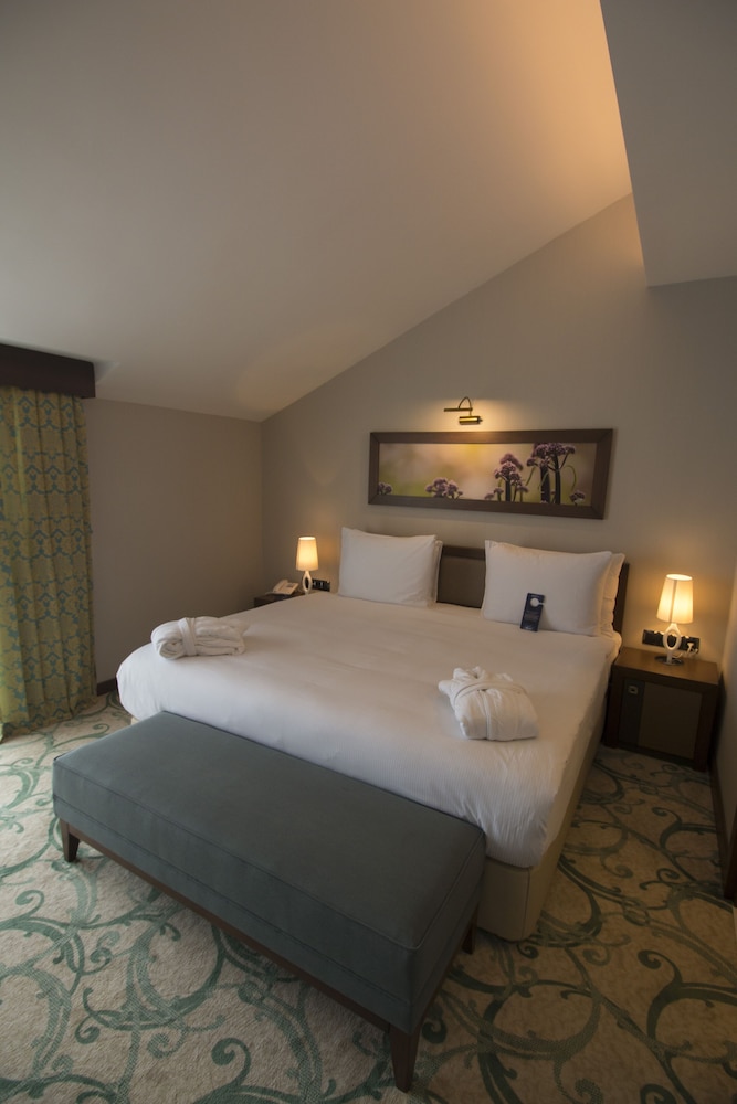 Radisson Blu Ordu 15/67
