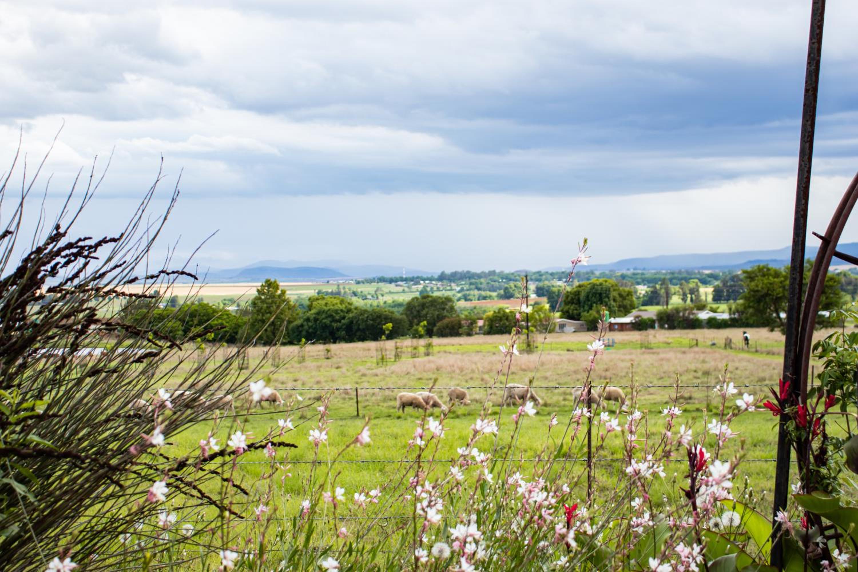 Drakensview Self Catering 35/50