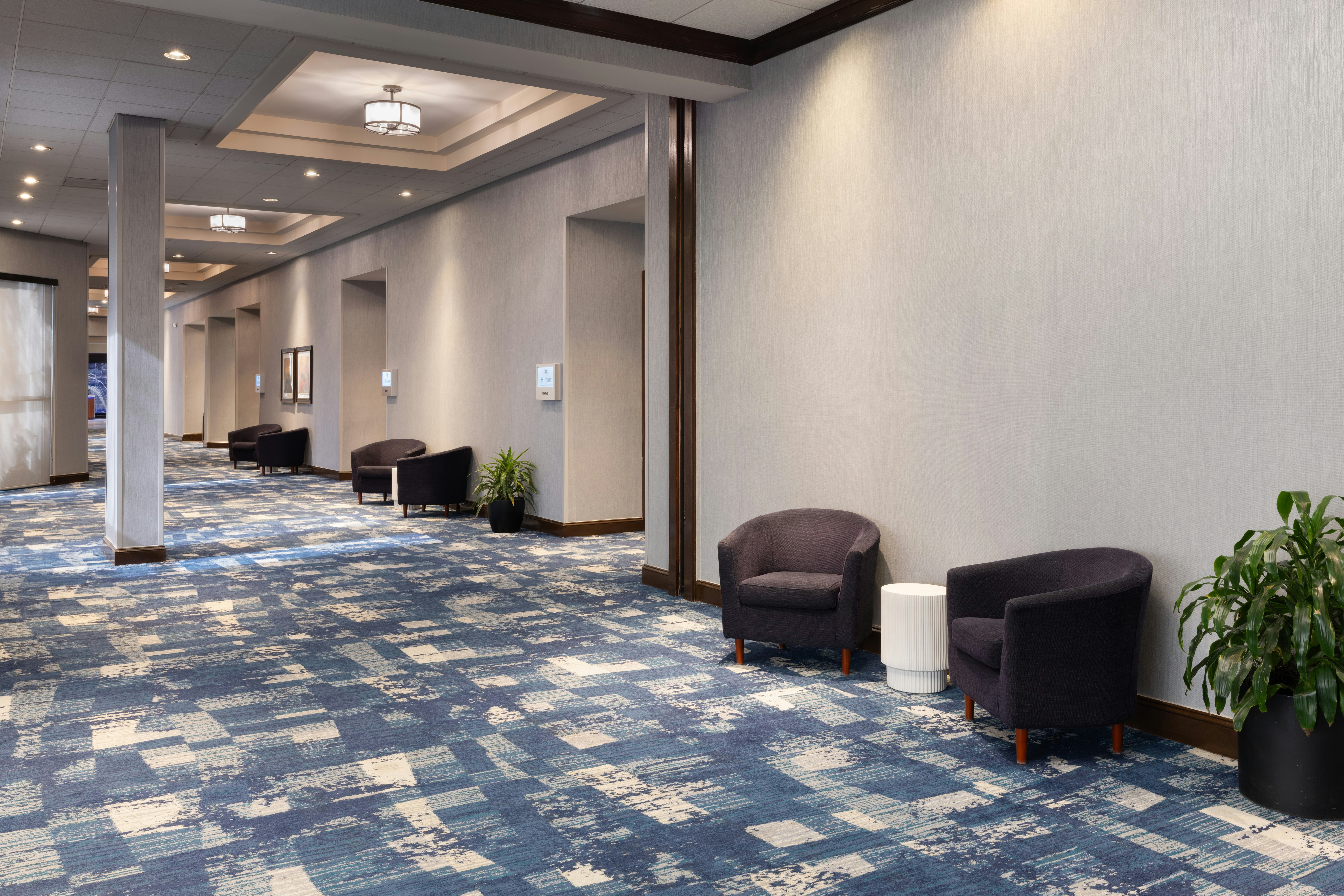 Hilton Durham near Duke University 19/60