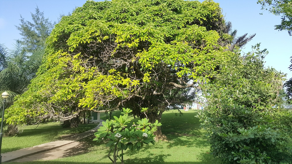 The Kairaba Beach Hotel 72/75