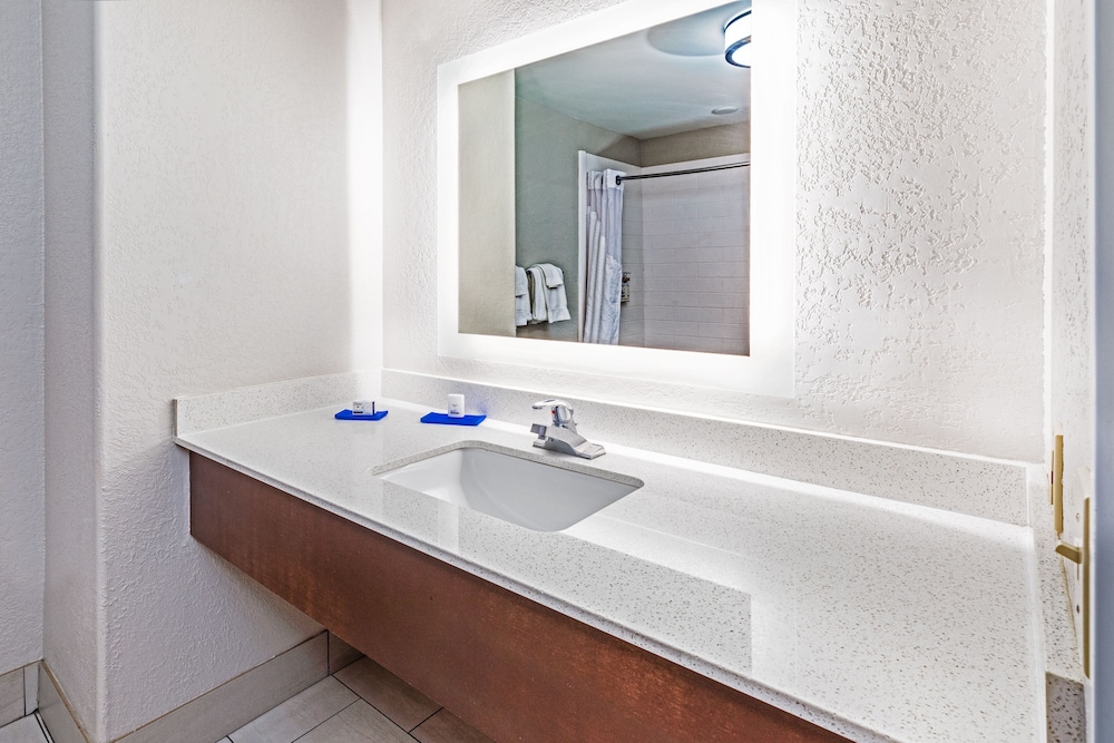 Holiday Inn Express Hotel And Suites Lafayette South 21/39
