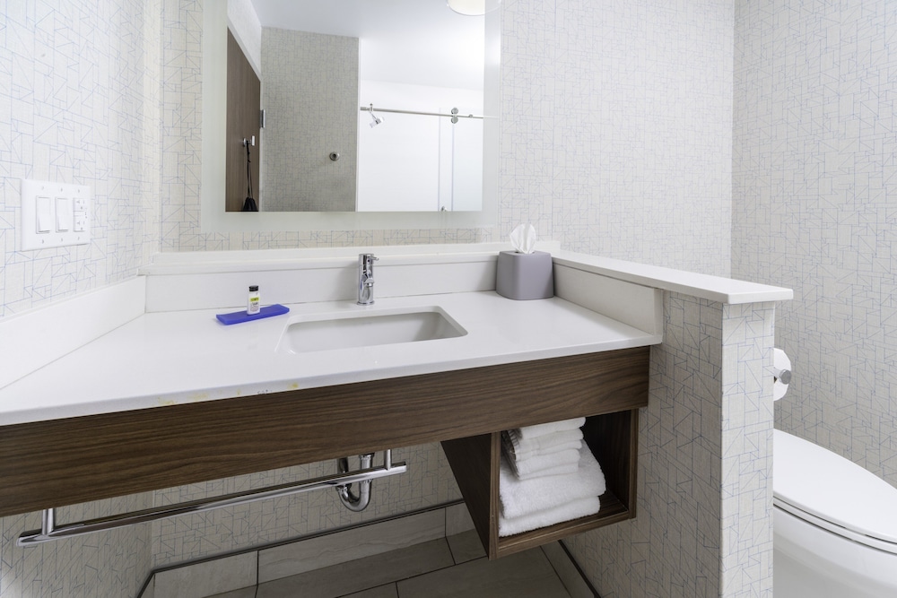 Holiday Inn Express and Suites Brevard City Center 15/51