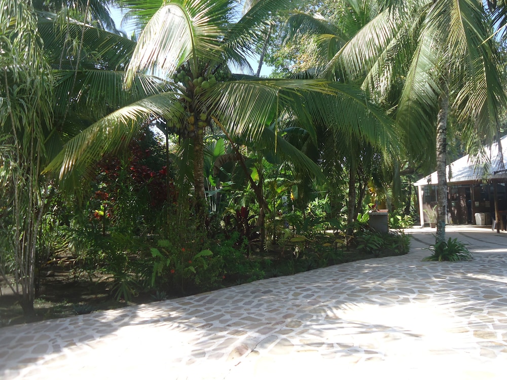 Hotel Playa Westfalia 27/42