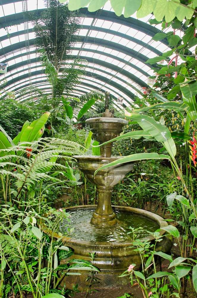 Hotel Ficus Monteverde 12/74