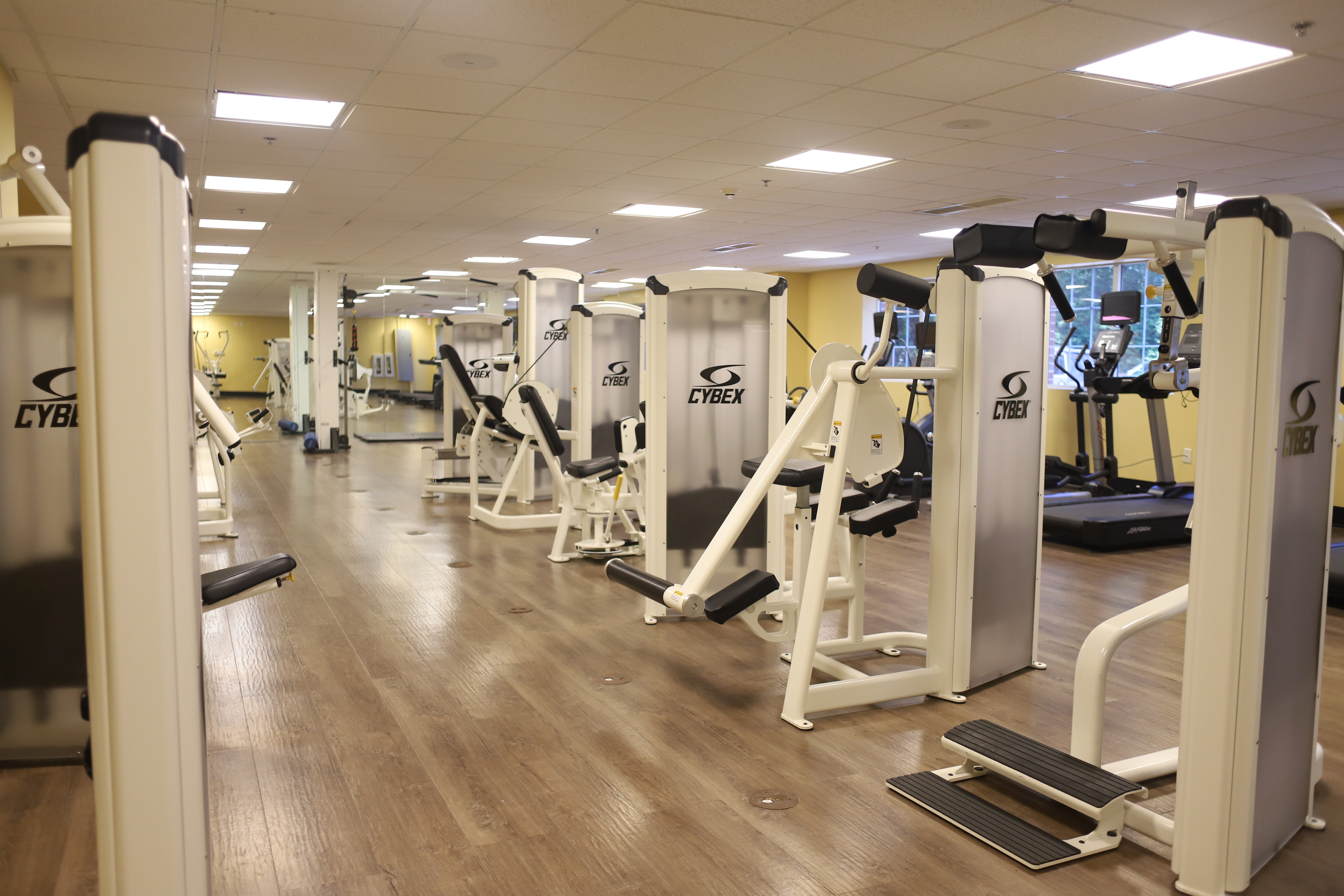 HOLIDAY INN EXPRESS & SUITES CHARLOTTESVILLE - RUCKERSVILLE 31/54