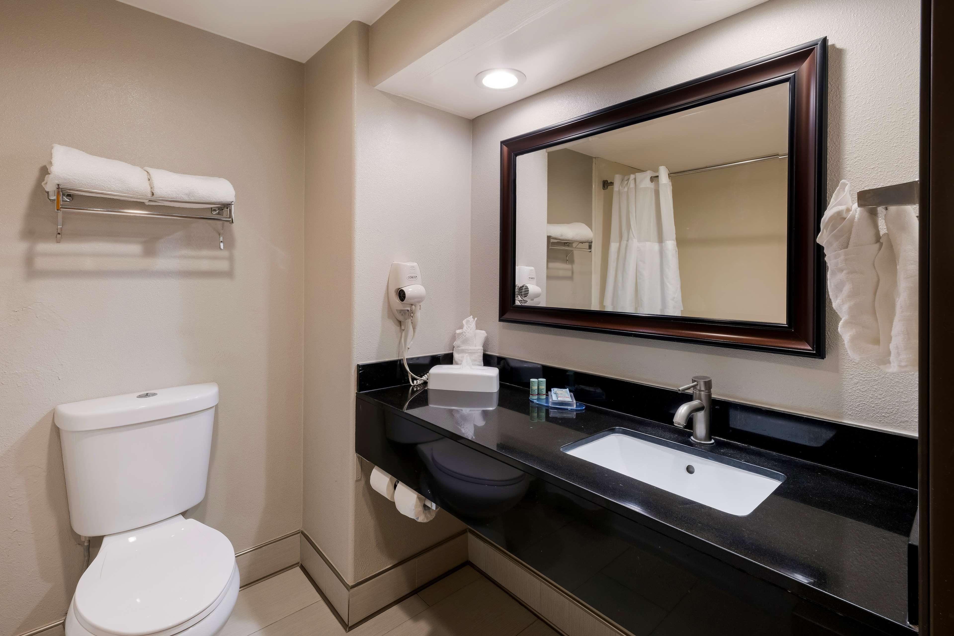 Suite, King Bed, Sofa