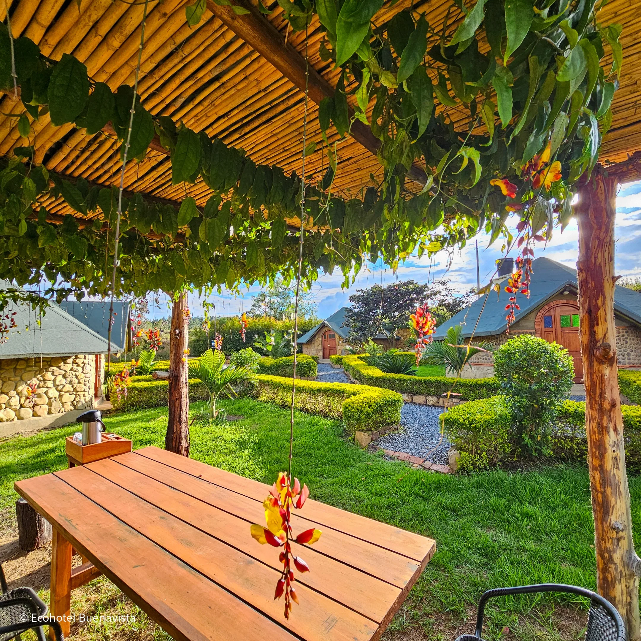 Ecohotel Buenavista 24/36