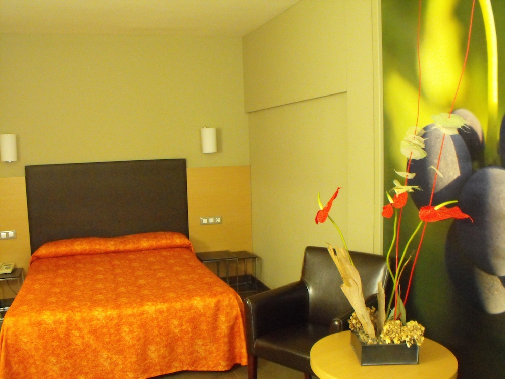 Hotel Pere III el Gran 10/37