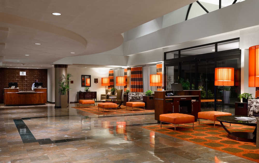 Sheraton Suites Orlando Airport 21/34