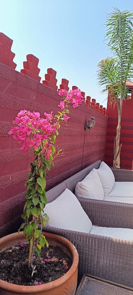 Riad Asrari 44/49